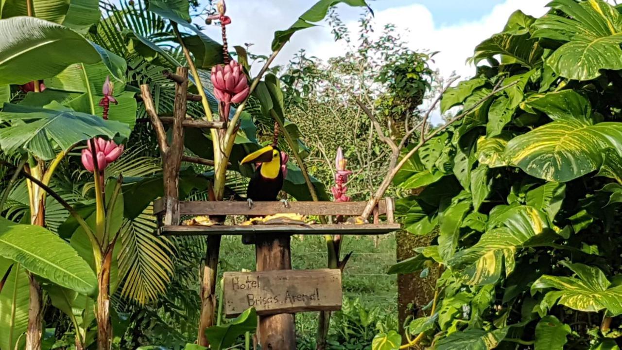 Hotel Brisas Arenal La Fortuna Eksteriør billede