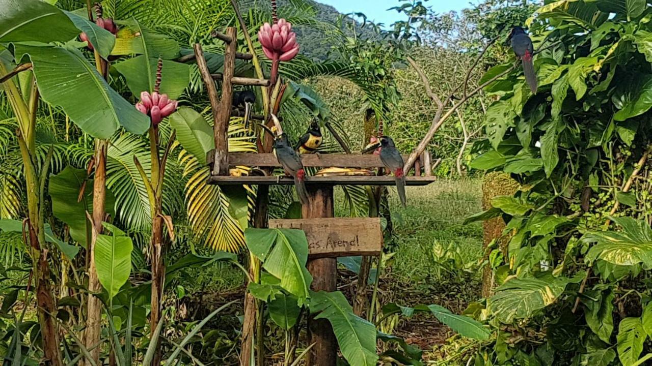 Hotel Brisas Arenal La Fortuna Eksteriør billede